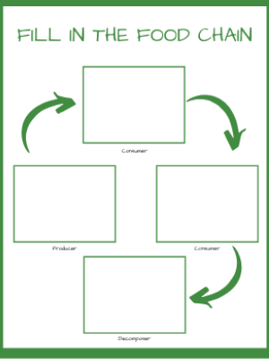 Food Chain Single Page